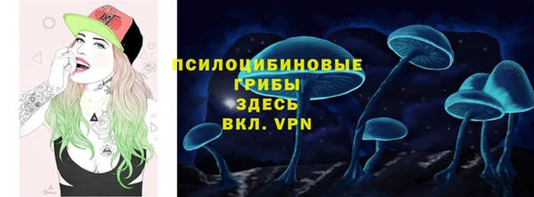 крисы Алексеевка