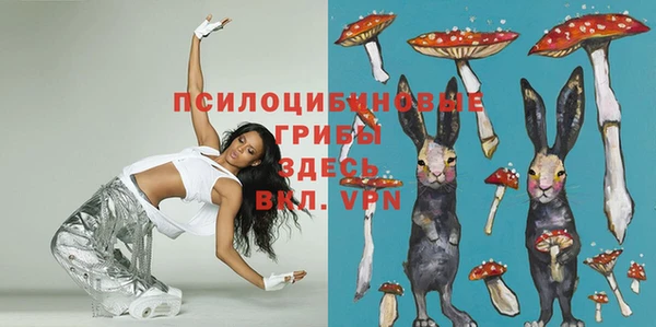 2c-b Надым